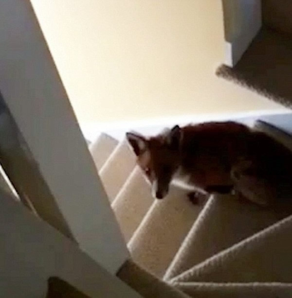 �����������һ��