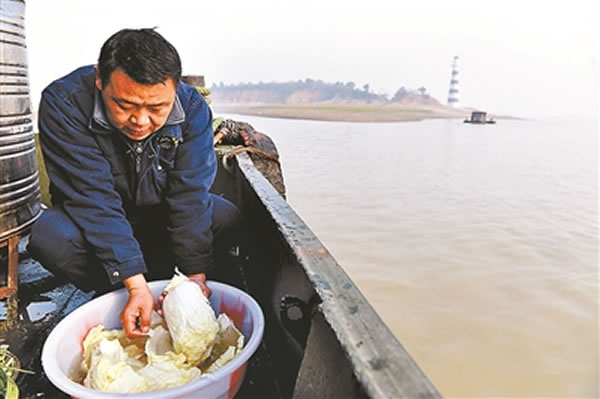 ��������������֯�ڶ����� ־Ը������״������