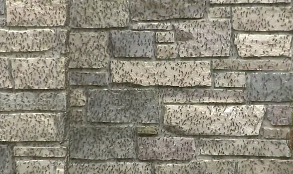 ������˹�����ݵ����ᱴ���������10�������Χ��Ӭ��Ϯ