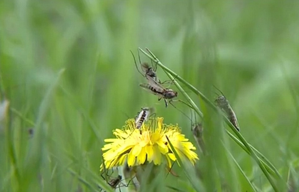 ������˹�����ݵ����ᱴ���������10�������Χ��Ӭ��Ϯ