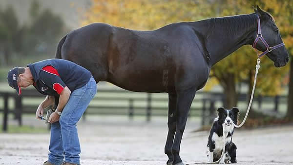 ��Hekan����ѱ��ʦʷ�۷�ĺ����֡�