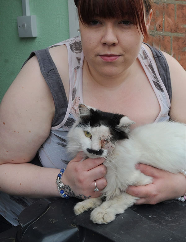 英国一只猫只因长得像“希特勒”遭殴打失去左眼