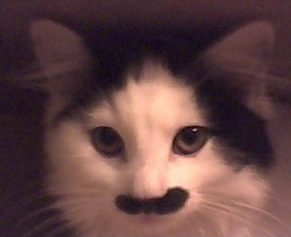 「巴兹」原本的模样