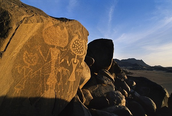 NASA顶ѧѧǼͨѶָһ֤