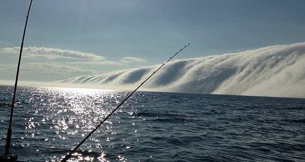 美国密歇根湖惊现壮观平流雾
