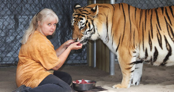 ˿λڷݴĲнеĻ԰˺ü