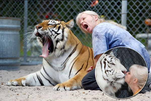 20ǰ˿ڵرֽϿһϻѵγ̹棬Ӵ˸ı