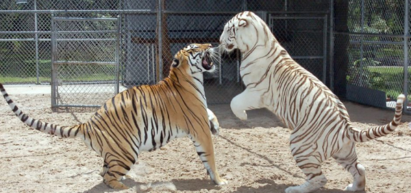 2002꣬ϻ˿ļС2007꣬˿ֻ2ڴС˼