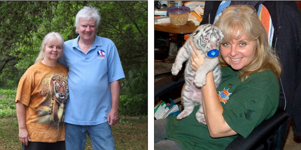 ˿ɷάֻϻʳӣÿ賿1㵽11㣬Ҫιֻϻ