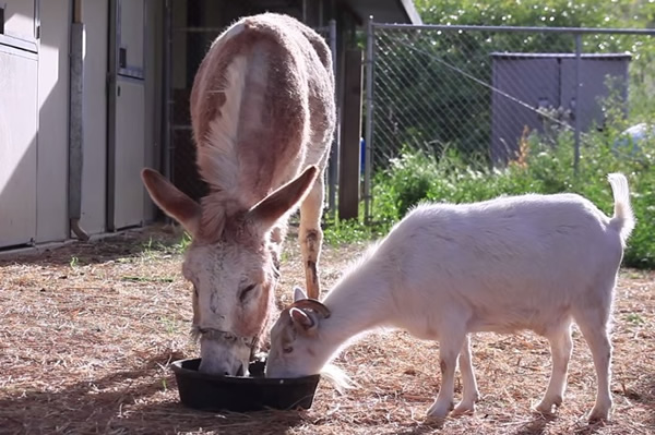 G����(��)������(��)�ؾۺ�һ���ͷ�Բݡ�