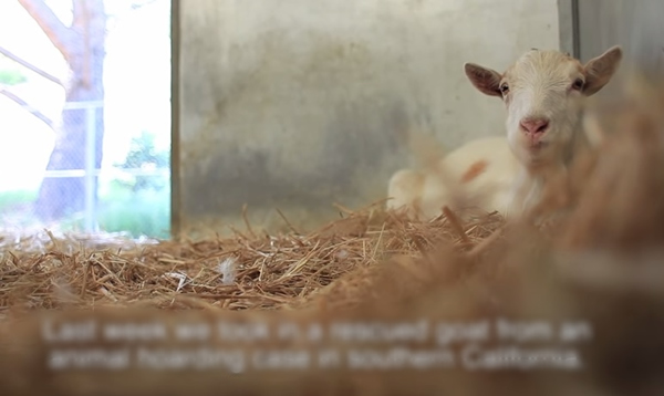 G����(ͼ)����ѷָ���أ��Ե����Ʋ��֡�