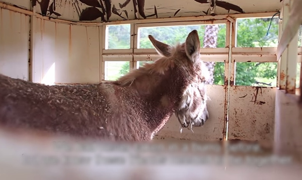 �幤�ó�������(ͼ)����G�������������ġ�