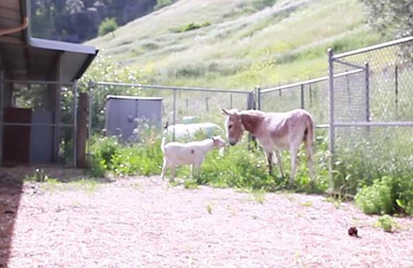 G����(��)��ǰӭ������(��)��