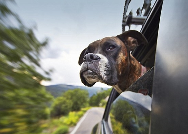 关冷气开车窗比关窗开冷气更省油