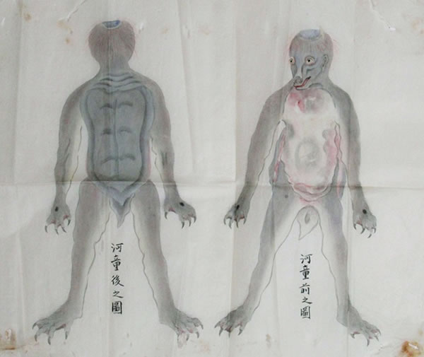 收藏“河童手足”的木箱一同附上的河童画像