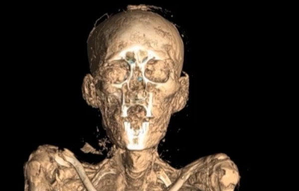 博物馆人员以电脑断层扫描制作出木乃伊的3D影像