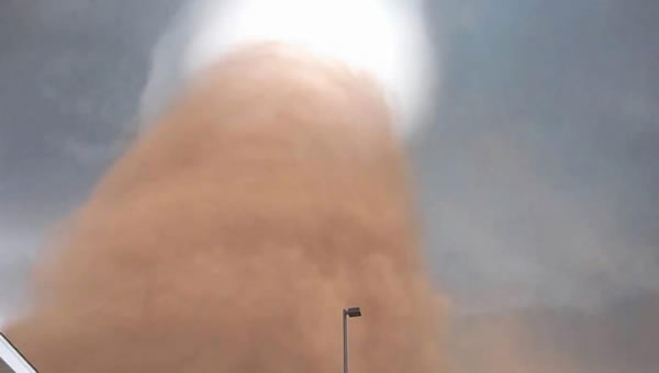 �������ӽ�����ץ��������ӽ��ϳ����ݾ�����Ƶ