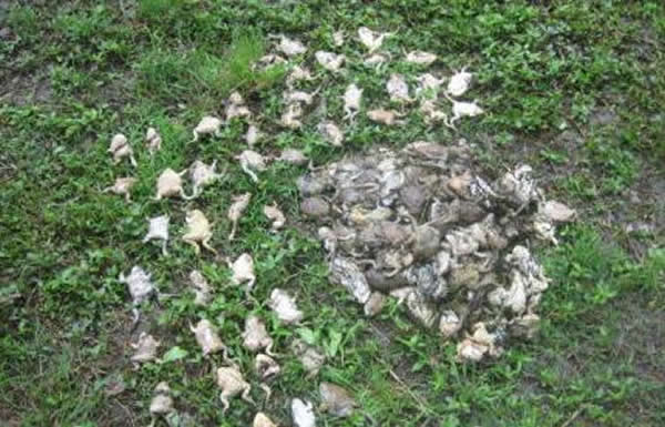 ���������̳��������������