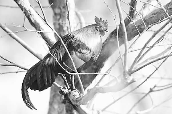 �ִ���Դ����ԭ��