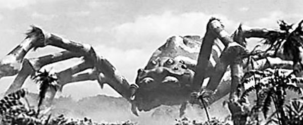 �о���Ա�Ӽ��ؽǶȽ���Ϊ��һЩ�����ڴﵽ����ë���Ȼ������ǰ��ֹͣ����