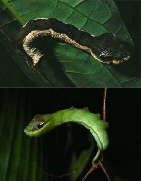 ������ë��αװ�ɶ����Ż�����