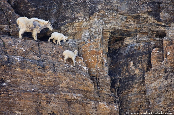 �����Ҹ��֡�ɽ��