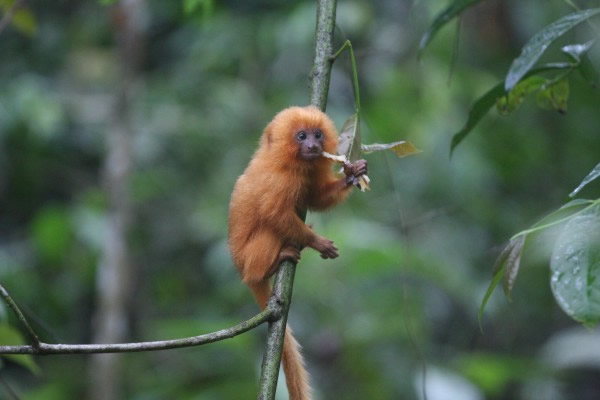 ������˿���������ѧ�Ҳ�����Ϣ�ض��ܹ����