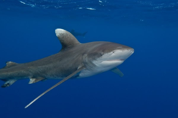 ԭ�������ڶ��Զ������裬��ʱ�Ѻ��ټ���