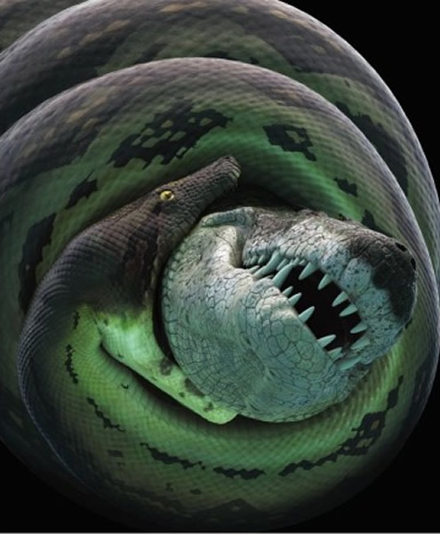 哥伦比亚北部煤矿岩层出土一种前所未见的史前巨鳄化石“Anthracosuchus balrogus”