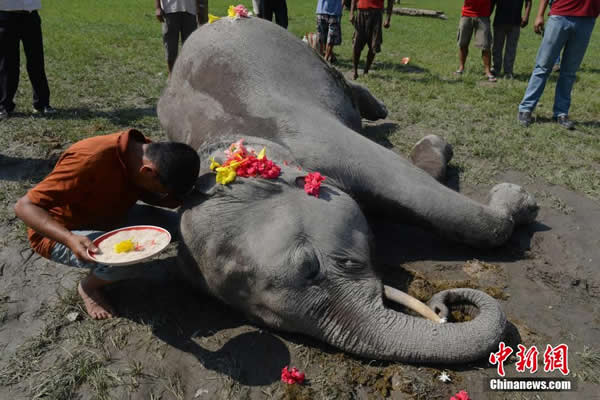 ӡ�ȴ���װ�������ƻ�ׯ�� ��������