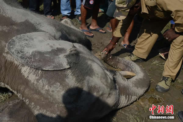 ӡ�ȴ���װ�������ƻ�ׯ�� ��������