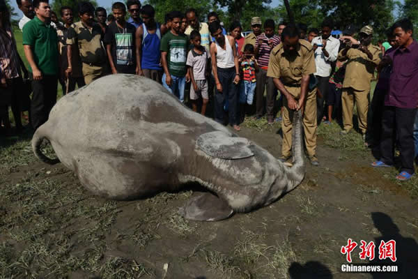 ӡ�ȴ���װ�������ƻ�ׯ�� ��������