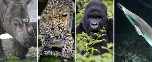 �������������������Ե�Ķ�����