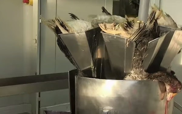 ���ǵ���������ʲô�£�