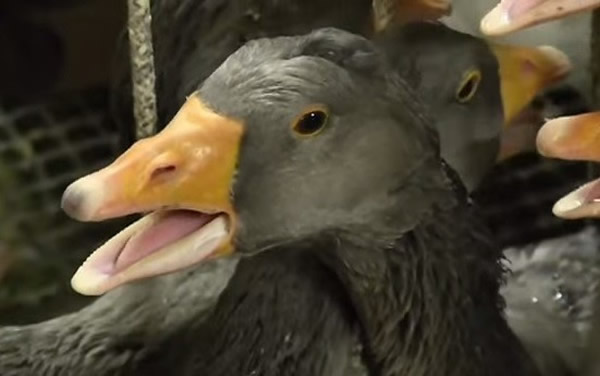 ����һʱ�Ŀڸ�֮�����ø����޹��Ķ����ѡ�