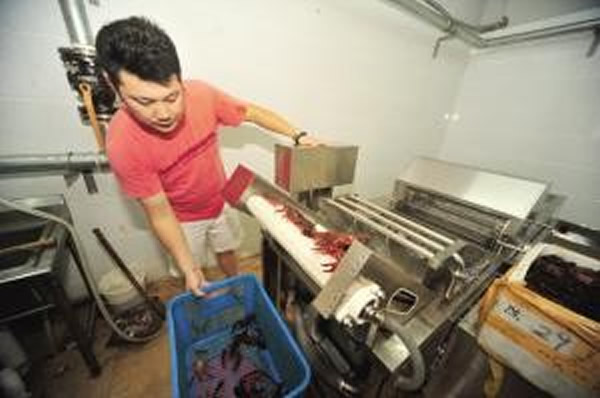 南京男子发明洗虾机 15分钟洗250公斤龙虾