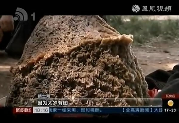 ����������·�߼񵽻����Ǵ�˵�еġ�̫�ꡱ