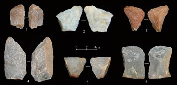 图2 贾湾1号地点发掘所获部分完整石片。(牛东伟供图)