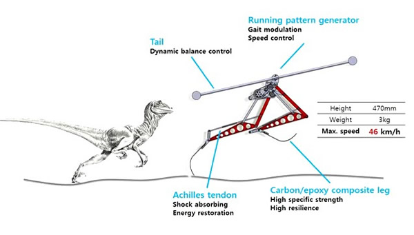 韩国以迅猛龙为原型设计研制出一款新型机器人