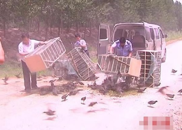 ����ʡ���������ƻ��ش�Ƿ�����Ұ�� �����ò������ղ�Ұ��