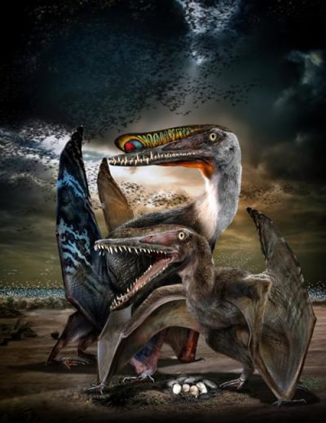 ɽHamipterus tianshanensisԭͼ