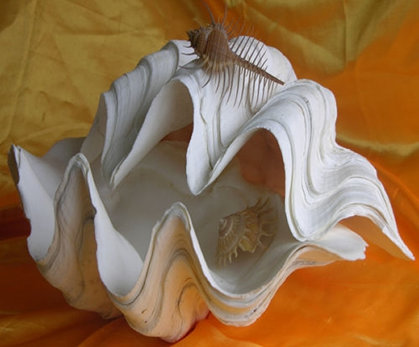 ���Ṥ��Ʒ�۸��ǣ���ԭ���ϱ������ɼ���������١�