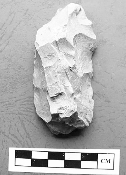 ���ɶ����ֵĹ�����