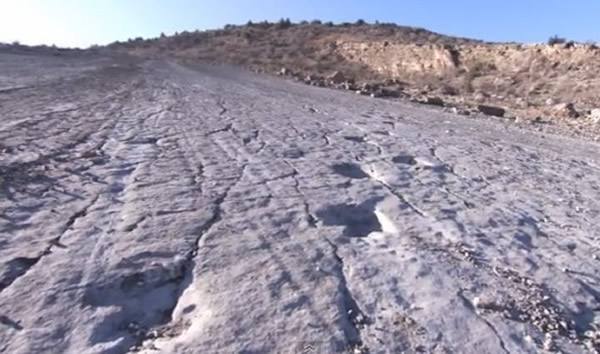 中亚国家土库曼斯坦“恐龙高原”留有2500个恐龙脚印化石