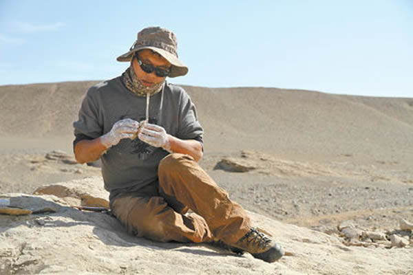 汪筱林在进行野外考察