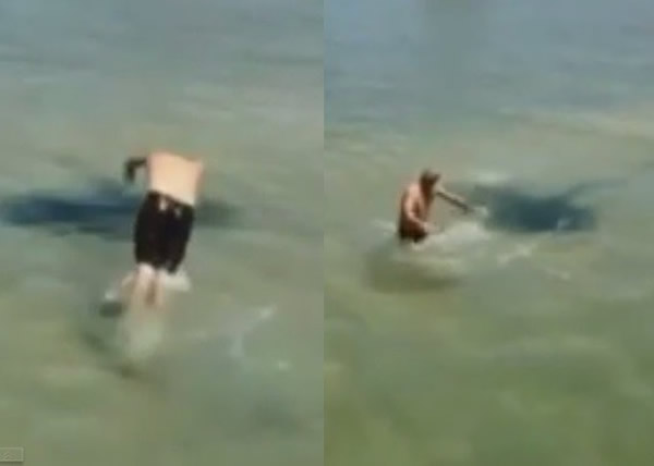 ���޻ƽ𺣰�Ӿ�����ƾ޴��􄱻׷��