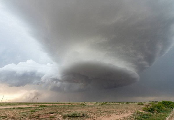 ������ī������ӭ����ǿ������Ϯ��