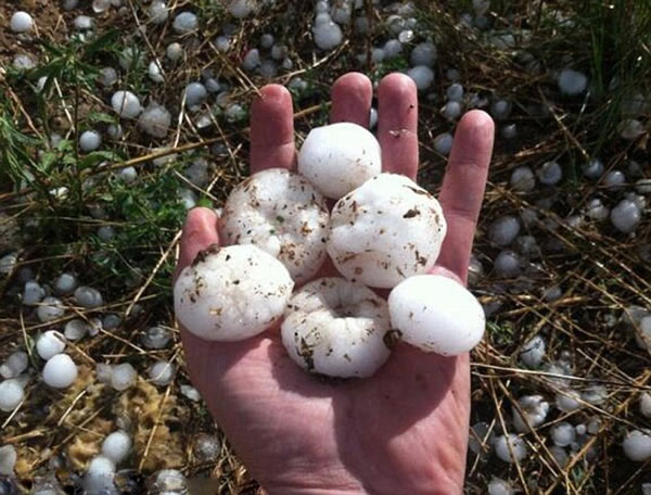 ������ī������ӭ����ǿ������Ϯ��