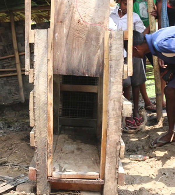 印度女子不忍政府无能自制陷阱装置抓捕美洲豹