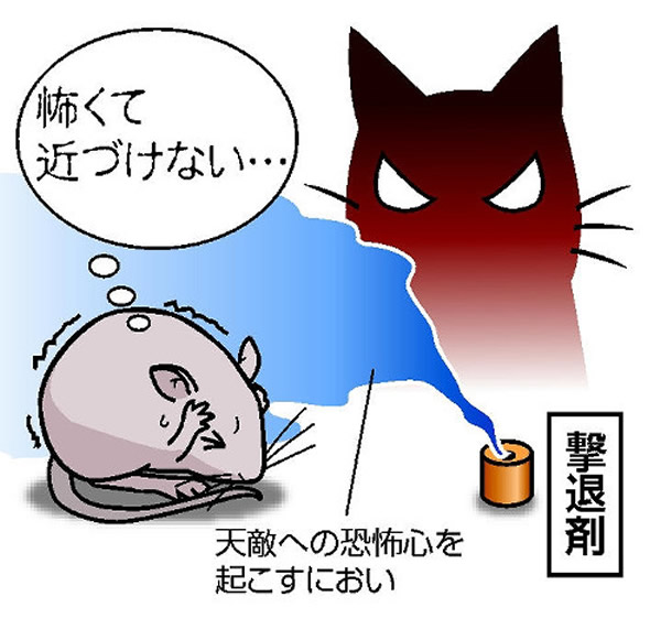 ձоԱƳ ŵһгֵľָ